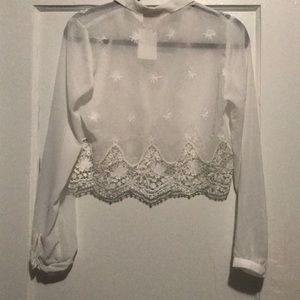 Divided sheer crop too, lace and embroidery